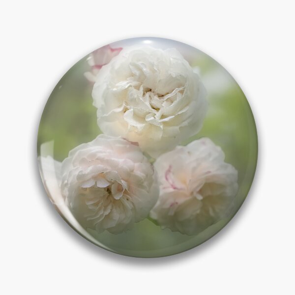 Item preview, Romantic White Roses designed and sold by Alisonchambers2.