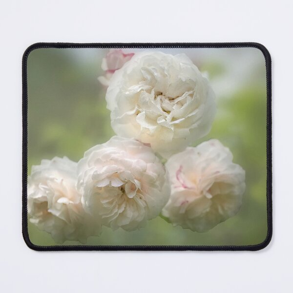 Item preview, Romantic White Roses designed and sold by Alisonchambers2.