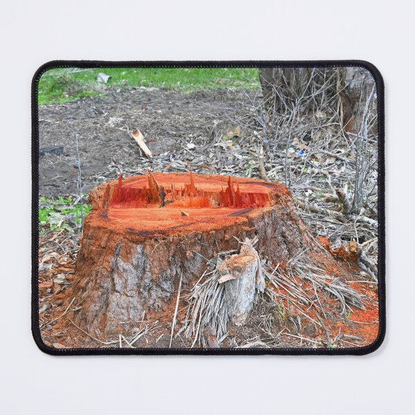 Item preview, Tree stump designed and sold by Doug Cliff.