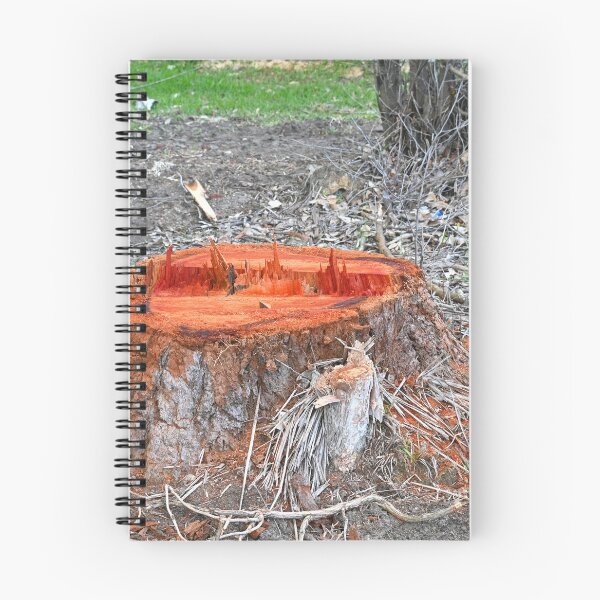 Item preview, Tree stump designed and sold by Doug Cliff.