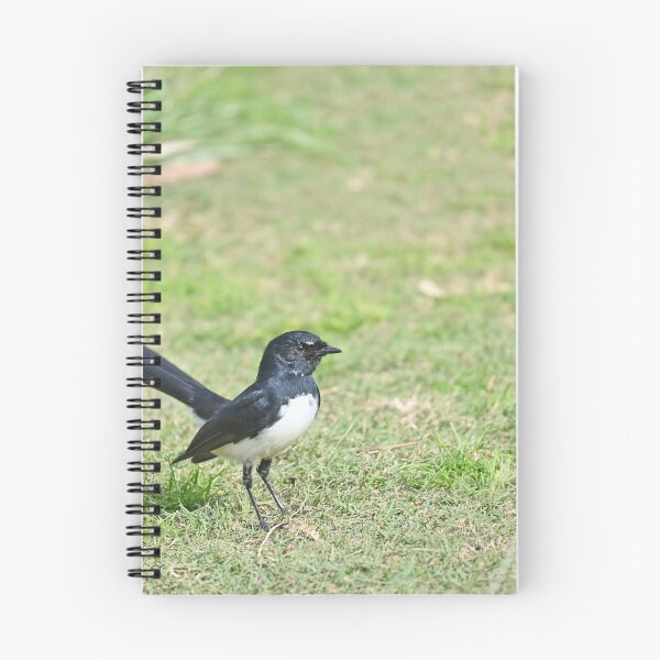 Item preview, Willy wagtail designed and sold by Doug Cliff.