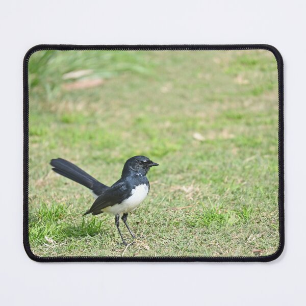 Item preview, Willy wagtail designed and sold by Doug Cliff.