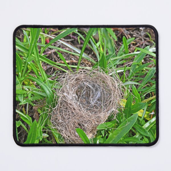 Item preview, Empty nest designed and sold by Doug Cliff.