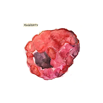 Artwork thumbnail, One Raspberry by Carol Kroll