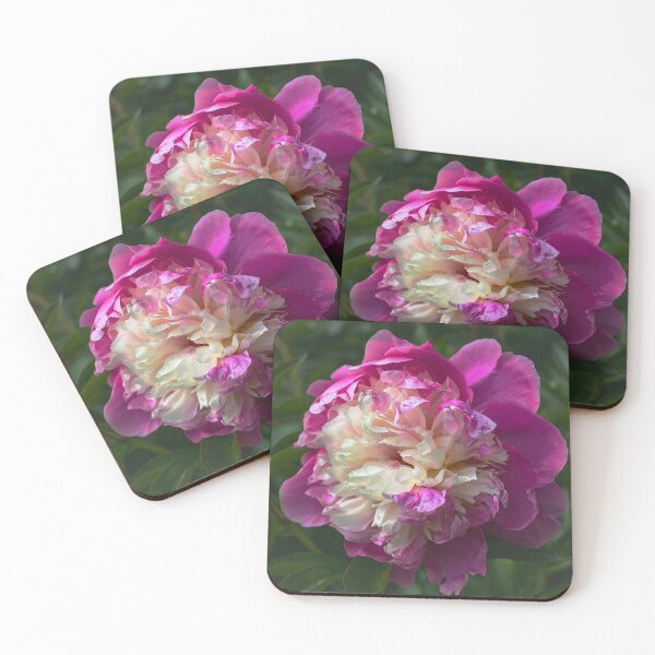 Item preview, Chinese Peony Flower  designed and sold by Alisonchambers2.