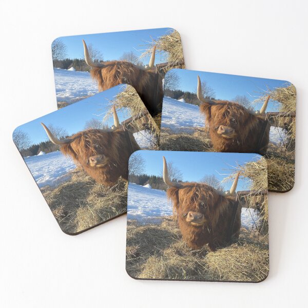 Item preview, Scottish Highland Cattle Cow 3249 designed and sold by SaarelaHighland.