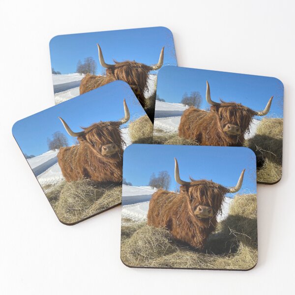 Item preview, Scottish Highland Cattle Cow 3253 designed and sold by SaarelaHighland.