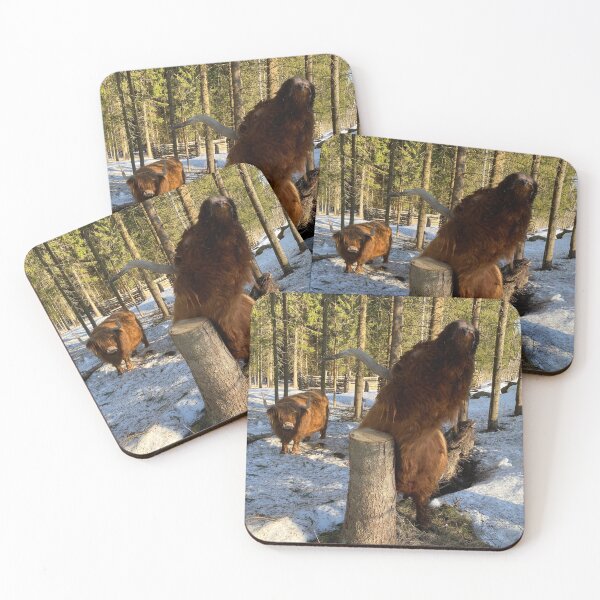 Item preview, Scottish Highland Cattle Cows 3260 designed and sold by SaarelaHighland.