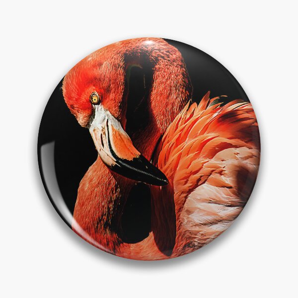 Artikelvorschau, Flamingo Portrait entworfen und verkauft von Brian Tarr.
