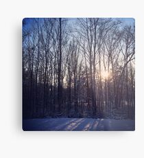 Early winter morning Metal Print
