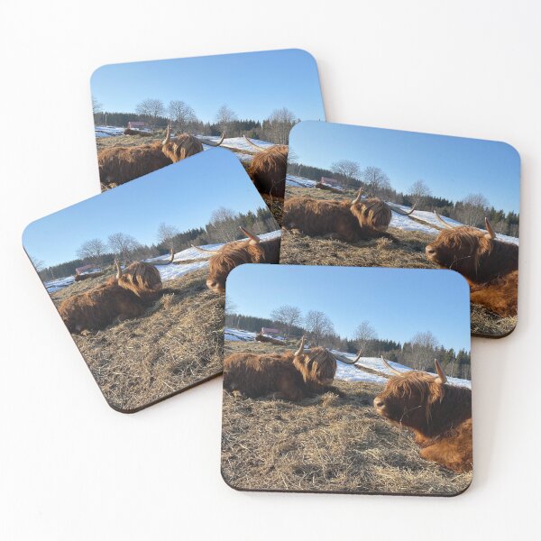 Item preview, Scottish Highland Cattle Cows 3263 designed and sold by SaarelaHighland.