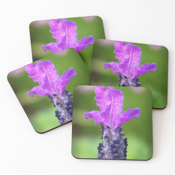 Item preview, Single Lavender flower designed and sold by DVart-nz.