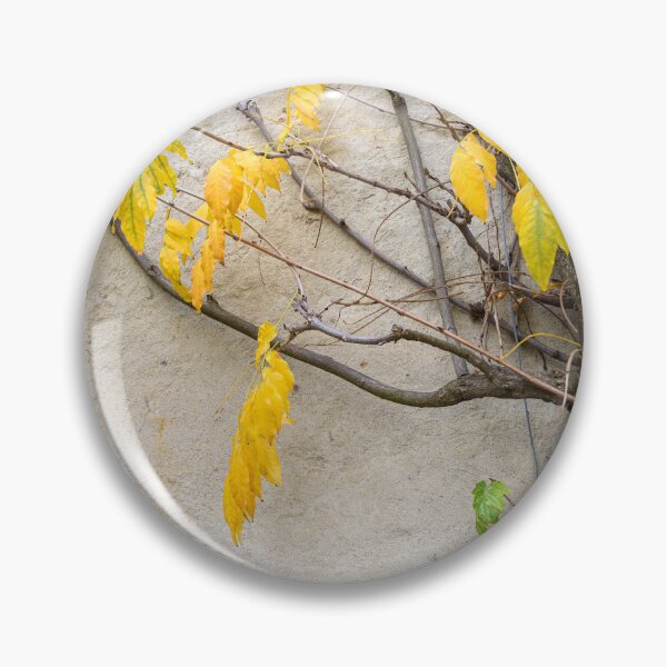 Artikelvorschau, Tree branch entworfen und verkauft von Dreamscape Eclectic .