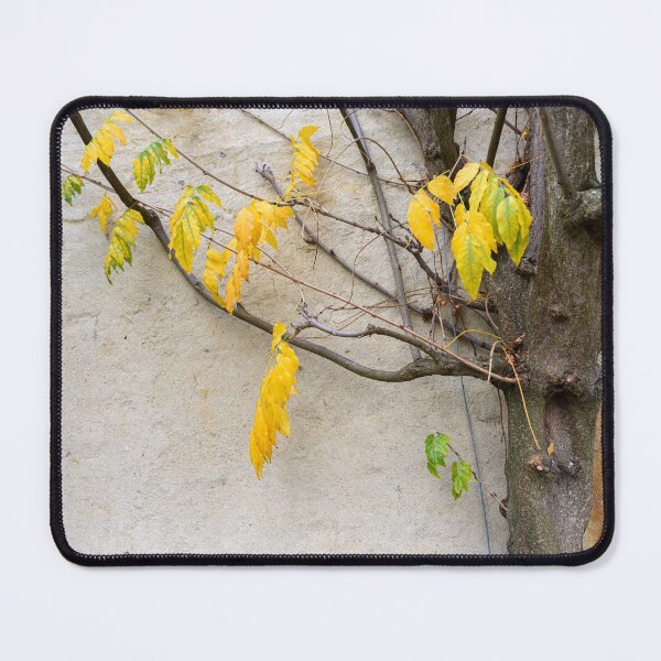 Item preview, Tree branch designed and sold by Dreamscape Eclectic .