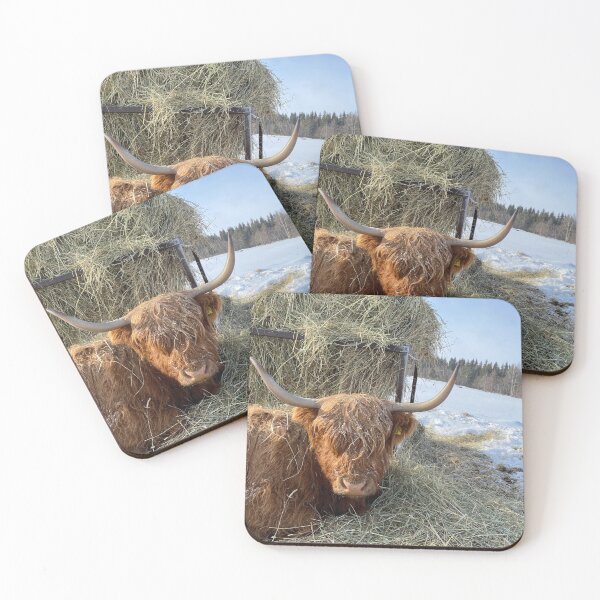 Item preview, Scottish Highland Cattle Cow 3271 designed and sold by SaarelaHighland.