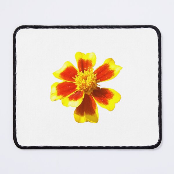 Item preview, KABFA Designs and Volksbolts, Vintage English Country Garden Orange and Yellow Flower Heads, Flowers, flower, designed and sold by KABFA Designs.
