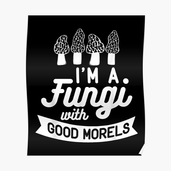 "I AM A FUNGI WITH GOOD MORELS Mushroom Hunting Meme" Poster for Sale by Earlene2365 Redbubble