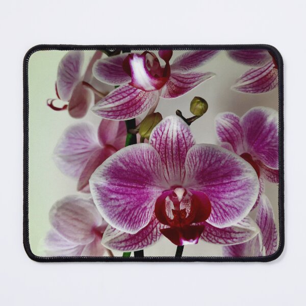 Item preview, Orchidea Flower designed and sold by Dreammkd.