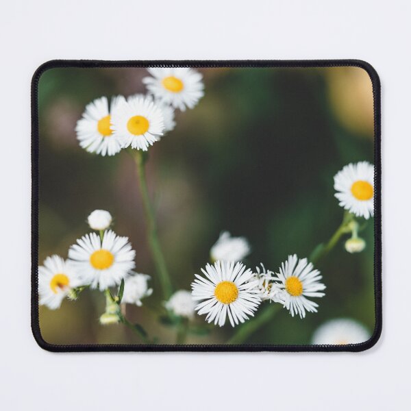 Item preview, Beautiful-daisy-flower designed and sold by marygov.