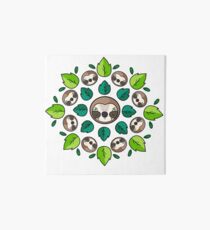 Lámina de exposición Mandala Sloth