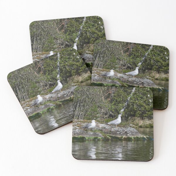 Item preview, C8PP4 and a friend designed and sold by Jouko Lehto Photography.