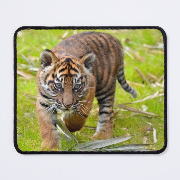 Item preview, Tiger Cub on the Move designed and sold by richardbryce.