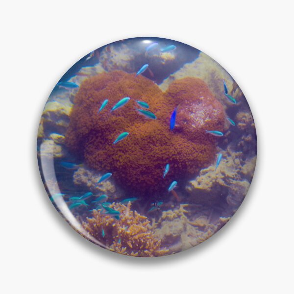 Artikelvorschau, Heart shaped Coral with Blue Fish entworfen und verkauft von PhotogDeb.