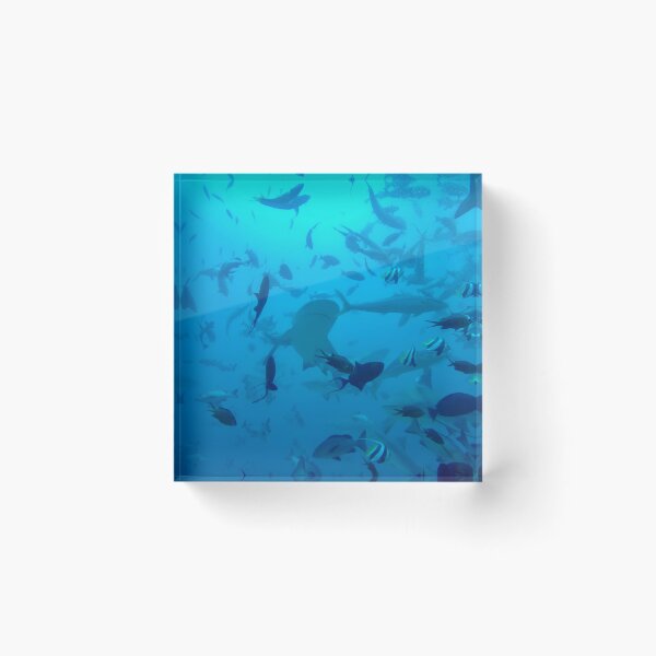 Item preview, Shark Dive designed and sold by PhotogDeb.