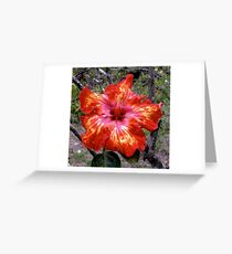 Niad Wong Greeting Card