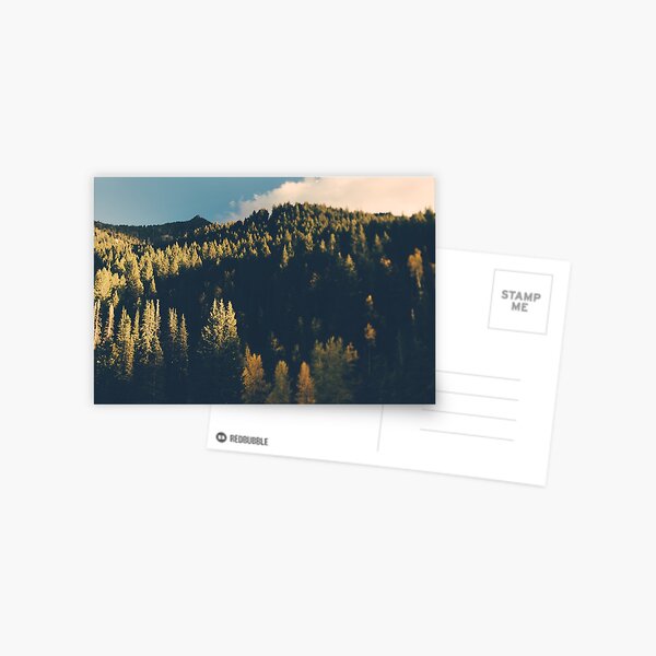 Evergreen Postcard