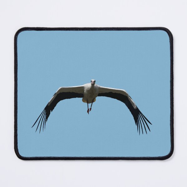 Item preview, White Stork (Ciconia ciconia) Bird Wings Flapping Vector designed and sold by taiche.