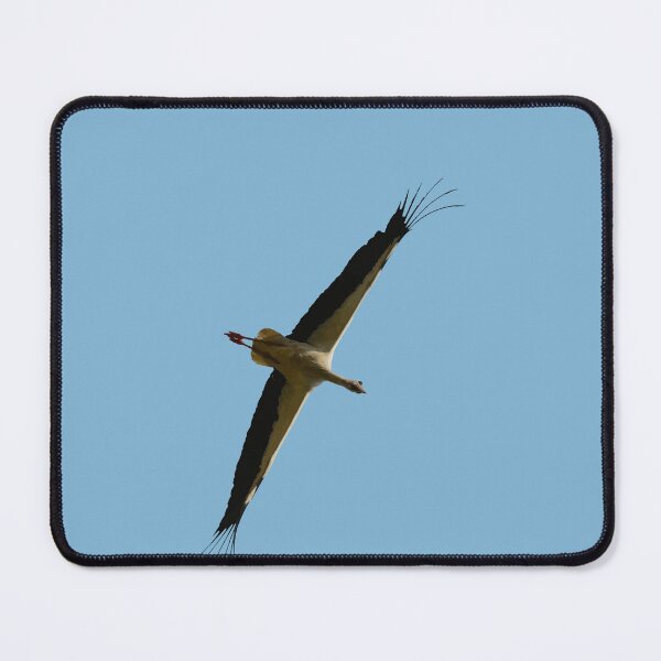 Item preview, Stork Vector Non-Flapping Bird Flight designed and sold by taiche.