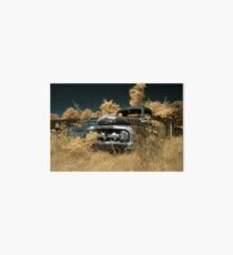 Abandoned 1952 Ford F-1 Pickup - infrared - 1 Art Board