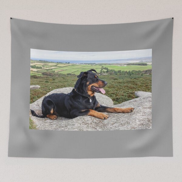 Item preview, Beauceron Dog designed and sold by Paul Thompson Photography.