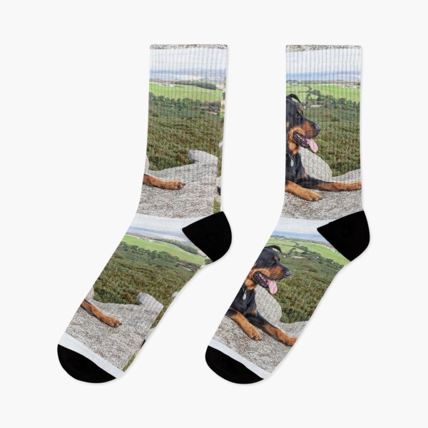 Item preview, Beauceron Dog designed and sold by Paul Thompson Photography.