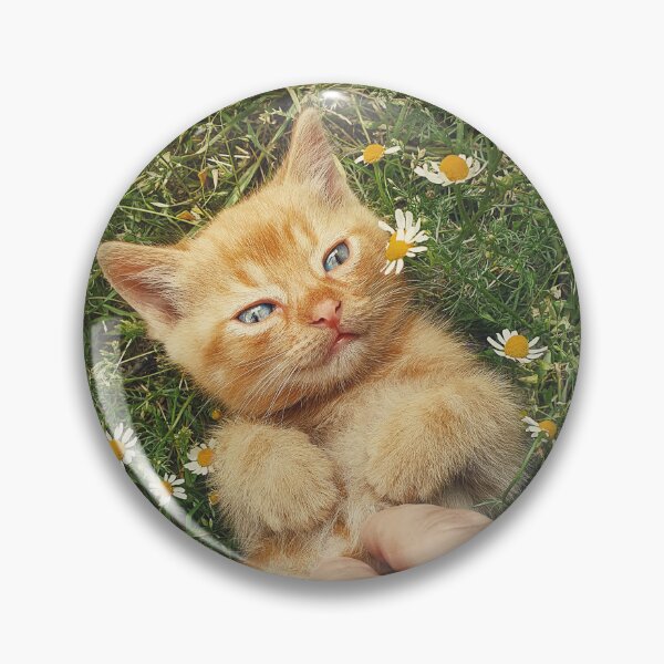 Item preview, petting an orange kitten designed and sold by psychoshadow.