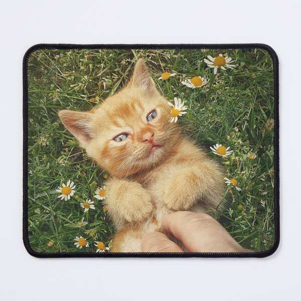 Item preview, petting an orange kitten designed and sold by psychoshadow.