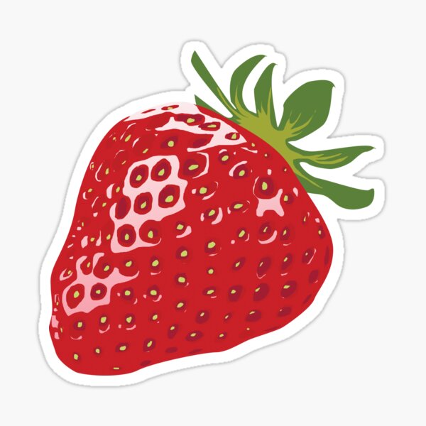 STICKERS x 10 STRAWBERRY Stickers CUTE! Sas Strawberries Sticker ST1