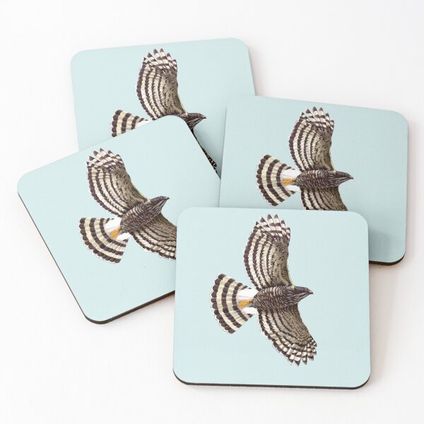 Item preview, Crested Goshawk, Predators in the dense forest designed and sold by LeoXiang.