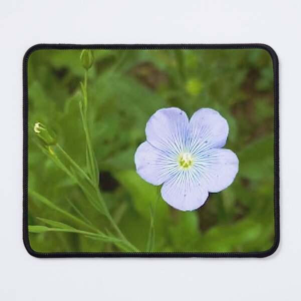 Item preview, Little flax flower  designed and sold by Robert Elfferich.