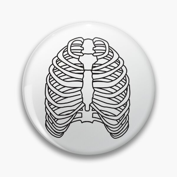 Item preview, Ribs. Skeleton. Medical illustration  designed and sold by Drevych-shop.