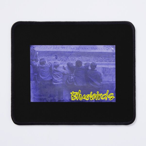 Item preview, Grandstand Wall Essential T-Shirt designed and sold by amberk1cira.