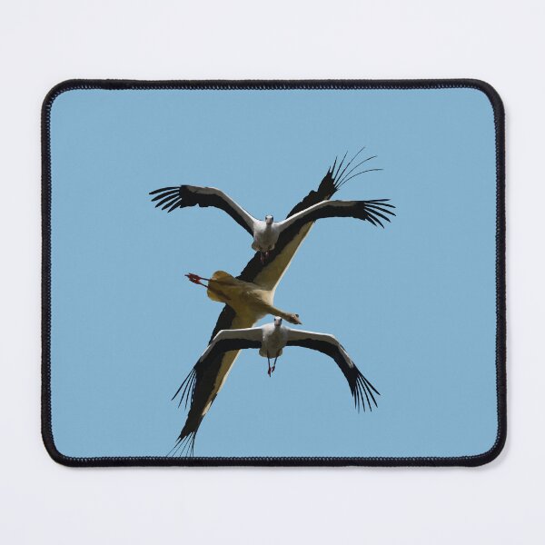 Item preview, Stork Aerodynamics - Flying Poses Vector Art designed and sold by taiche.