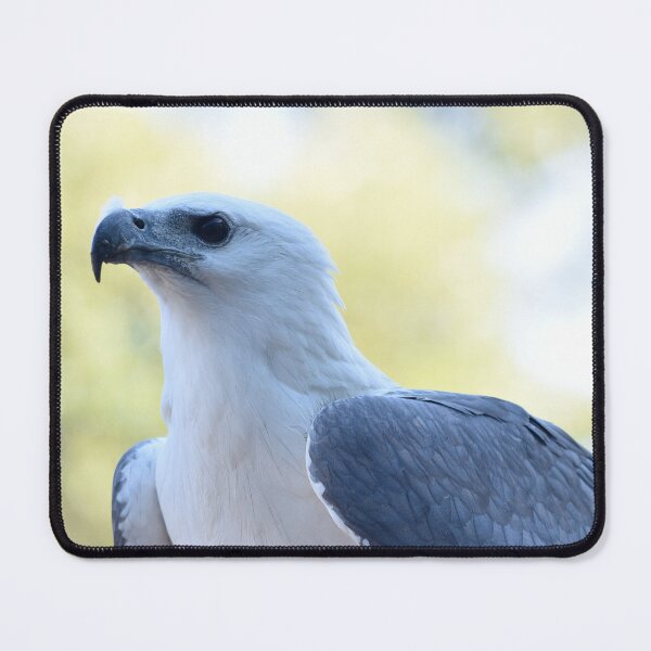 Item preview, Maraki, White–bellied Sea-Eagle designed and sold by imaginethis.