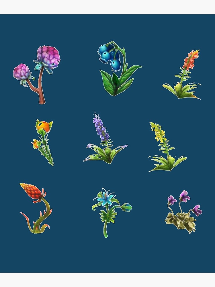 "BOTW flowers" Poster for Sale by SamSimp Redbubble