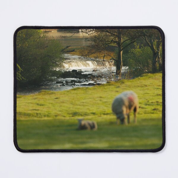 Item preview, WATERING TREES designed and sold by andrewsaxton.