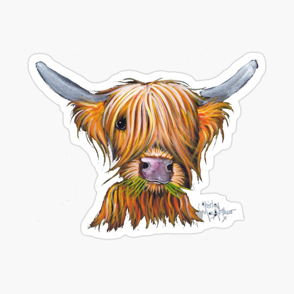 HIGHLAND COW PRINTS of Original Painting ' LITTLE VIKING 2 by SHIRLEY MACARTHUR 