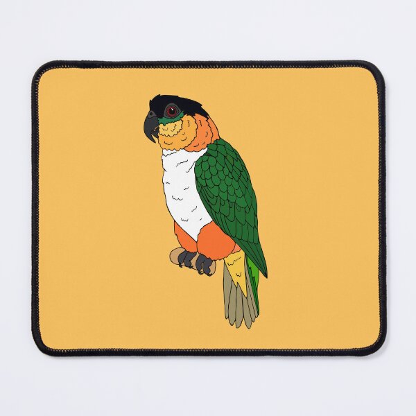 Item preview, Black-Headed Caique designed and sold by nolessjess.