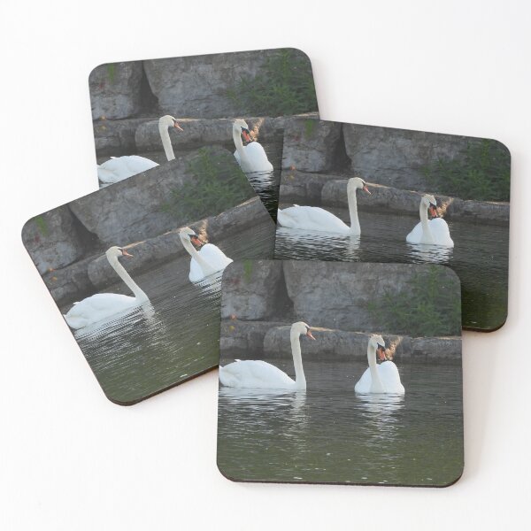 Item preview, A Beautiful Family of Swans designed and sold by PhotosBySusanne.