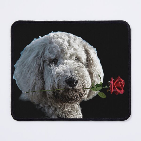 Item preview, A Dog with a Red Rose, A Dog with A Bandanna, Gift for The Labradoodle Lover designed and sold by DiensDesign.